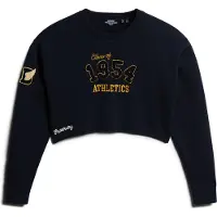 Superdry Pull-over marine / jaune / noir