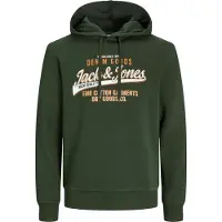 Jack & Jones Logo 2 Plus Size Hoodie Vert 3XL Homme