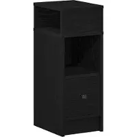 vidaXL Table de chevet avec tiroir noir 25x31x66 cm