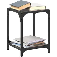 vidaXL Tables basses avec plateau en verre 2 pcs. noir 30x30x40 cm acier