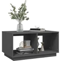 vidaXL Table basse Gris 80x50x40 cm Pin massif