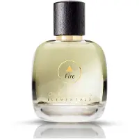 Elemental Goods B.V. Elementals - Fire Edp 100 ml