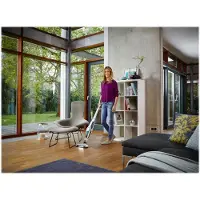 Leifheit Regulus PowerVac 2-en-1 20 V