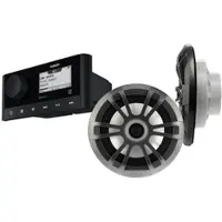 Fusion Ms-ra60/el Stereo&speaker Kit Argenté