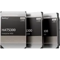 Synology HAT5300 disque dur interne 12 TB 7200 RPM 256 MB 3.5" Serial ATA III