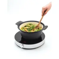 Fritel Taque induction électrique IP 1266