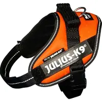 JULIUS K-9 Idc Power Mini Dog Harness Jaune Mini
