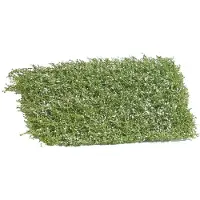 Busch Tapis d'arbustes à fleurs. Dimensions, 120 x 80 mm, hauteur, 35 mm