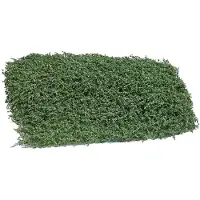 Busch Tapis d'arbustes été. Dimensions, 120 x 80 mm, hauteur, 35 mm