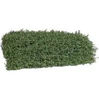Busch Tapis d'arbustes fin d'été. Dimensions, 120 x 80 mm, hauteur, 35 mm