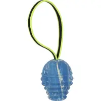 Julius-K9 Duoplay balle antibactérienne pour chien Ø85x11,5cm