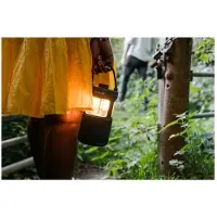 Pure Enceinte Bluetooth Woodland Glow