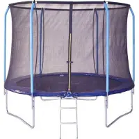 Spartan Gear Trampoline 305 cm + filet de protection et échelle