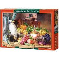 Castorland Copie de Nature morte avec Friut a.aCockPolyuréthaneC-300143-2