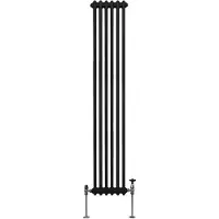 Monster Radiateur Traditionnel à 2 Colonnes Chauffage Vertical Noir 1800 x 292mm