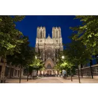 Bluebird Puzzle Motif Cathédrale de Reims 1000 pièces Adultes