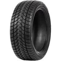 Delinte Pneu WD1 ( 185/65 R14 86H )