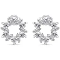 Brilio Silver - Charmants boucles d'oreilles en argent avec zircons clairs EA593W, (Argent)