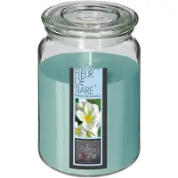 Atmosphera Bougie Parfumée Fleur de tiaré Pot en verre 510 G