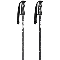 Gabel Speed Poles Argenté 110 cm