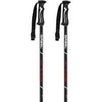 Gabel Spedd Poles Argenté 120 cm