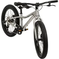 Batch 20´´ Acolyte Mtb Bike Argenté Garçon