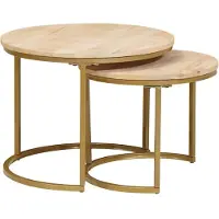 vidaXL Tables basses gigognes, lot de 2, marron, bois massif de manguier et acier
