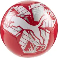 Puma 3