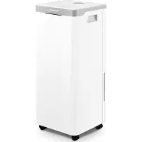 Berdsen Déshumidificateur électrique 3500ml réservoir d'eau BD-522 blanc