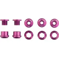Wolf Tooth Chainring Screw Set 5 Units Argenté 6 mm