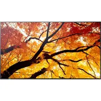 NEC Moniteur MultiSync M322 32" FHD D-LED 24/7 Uso Continuo
