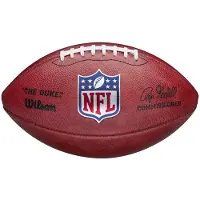 Wilson NFL Mini Replica Football