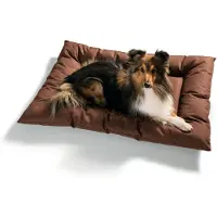 Hunter Pet Lit pour chien Hunter Gent antibactérien 70x100 cm marron, hydrofuge et anti-salissures