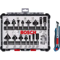 Bosch Jeu de fraises , 15 pièces, avec cutter