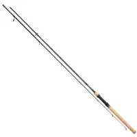 Mikado Intro Ii Power Spinning Rod Doré 2.70 m / 80 g