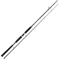 Shimano Fishing Beastmaster Ax Pilk Jigging Rod Argenté 2.40 m / 100-200 g
