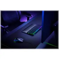 Razer Repose-poignet Standard Edition Mini