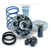 Polini 241.750 Variator Kit Argenté