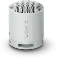 Sony SRS-XB100 Gris