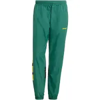 Adidas Pantalon 'Santiago' jaune / vert