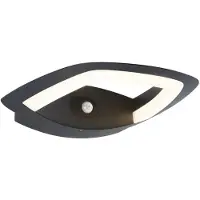 Paulmann Applique murale d'extérieur LED Akena Détecteur de mouvement àcrépusculaire (IR)
