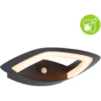 Paulmann Applique murale d'extérieur LED Akena Détecteur de mouvement àcrépusculaire (IR) insect-friendly