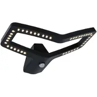 Paulmann LED Applique murale d'extérieur Alara Détecteur de mouvement àcrépusculaire (IR)
