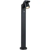 Paulmann LED Borne d'éclairage Cuff Détecteur de mouvement àcrépusculaire (IR)