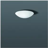 RZB Lampe en verre opale 211011.002
