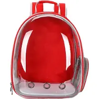 Generique Sac à dos de voyage pour animaux de compagnie, transport pour animaux de compagnie, ventilé, Capsule d'espace transparente, sac à bulles pour chat, confort avec sangle rembourrée