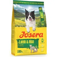 Josera Lamb & Rice-3kg Adult Dog Food Multicolore 3Kg