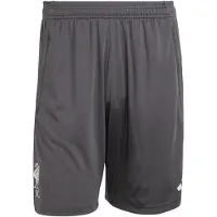 Adidas Liverpool Fc 25/26 Tiro Competition Training Shorts Gris S / Regular Homme