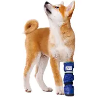 Medical Pet Shirt Boot - L - Kort
