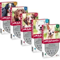 Advantix 600/3000 pour chiens de 40 à 60 kg